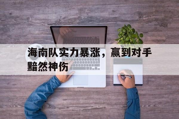 海南队实力暴涨，赢到对手黯然神伤的简单介绍