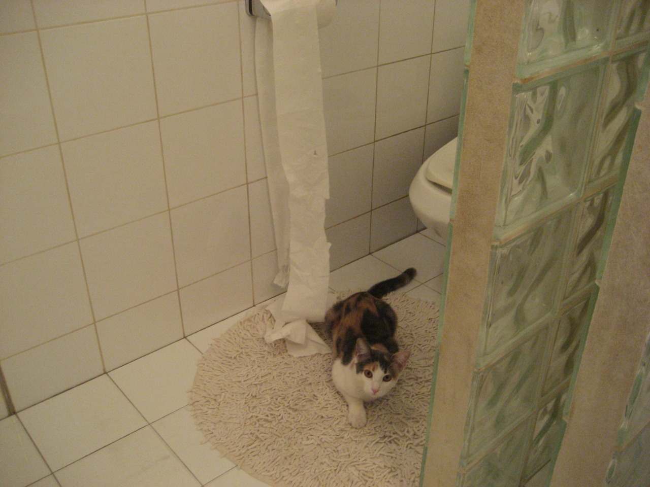 红与蓝的战术博弈,当亚特兰大的野性直觉碾压瑞士的精密齿轮