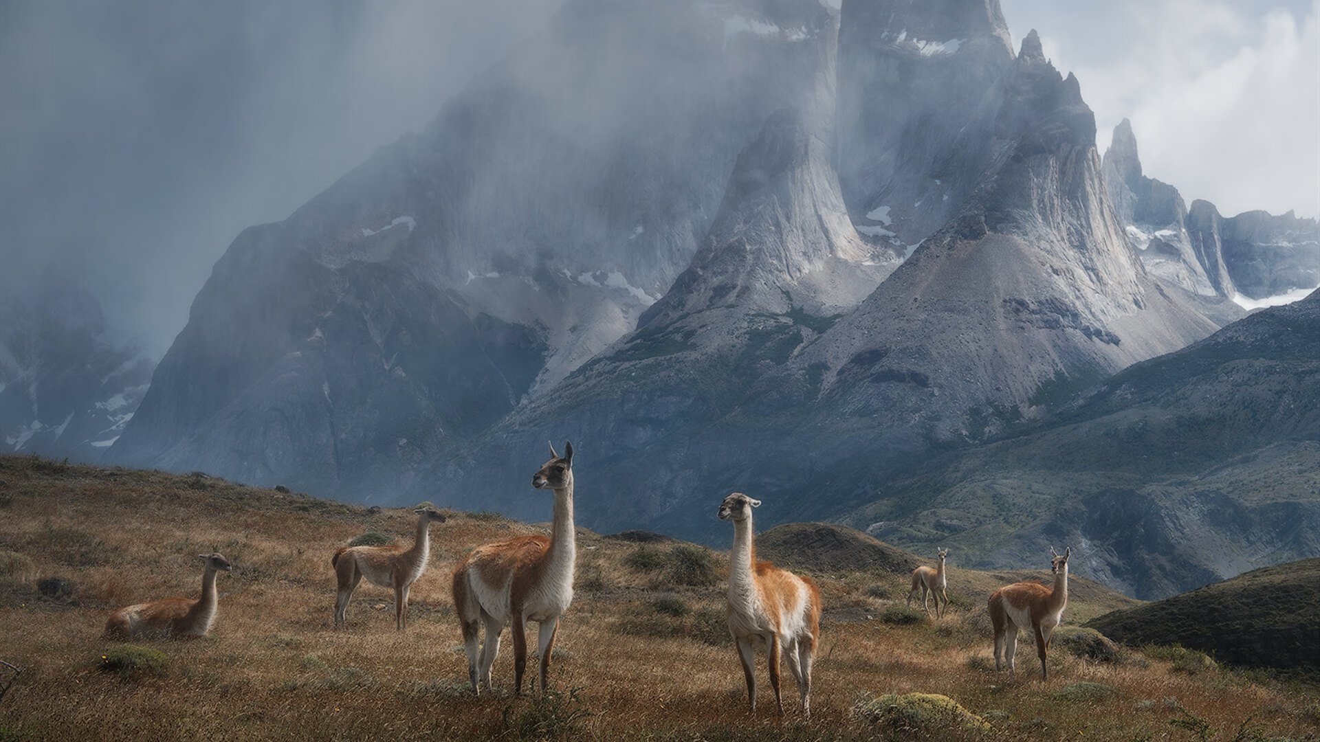 爱游戏娱乐-文班亚马刷新纪录，骑士打穿湖人，NBA赛场双星闪耀
